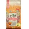 Purina Beyond Chicken and Oatmeal with Pumpkin Kitten Formula Dry Cat Food - 5 Lbs - Case of 4