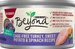 Purina Beyond Grain-Free and Cage-Free Turkey Spinach and Sweet Potato Canned Cat Food - 3 Oz - Case of 12