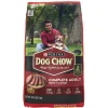 Purina Dog Chow Complete and Balanced Real Beef Adult Dry Dog Food - 44 Lbs