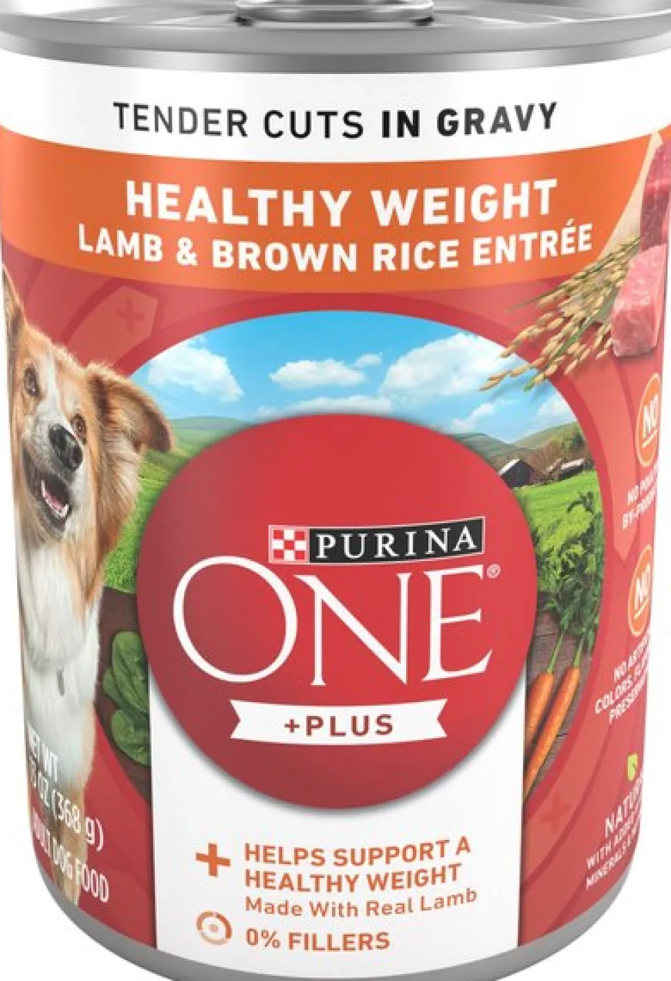 Purina One + Plus Tender Cuts in Gravy Lamb and Brown Rice Canned Dog Food - 13 Oz - Case of 12