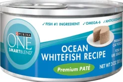Purina ONE Grain Free Premium Pate Whitefish Canned Cat Food