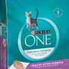 Purina ONE Kitten Growth & Development Dry Cat Food