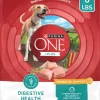 Purina One SmartBlend Digestive Health with Probiotics Tender Morsals Chicken Dry Dog Food - 8 Lbs - Case of 4