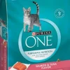 Purina ONE Tender Selects Blend Real Salmon Dry Cat Food
