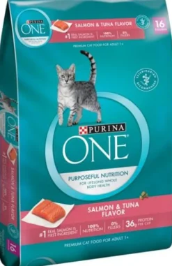 Purina ONE Tender Selects Blend Real Salmon Dry Cat Food