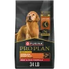 Purina Pro Plan Complete Essentials Shredded Blend Beef and Rice 7+ Senior Adult Small-Breed Dry Dog Food - 34 Lbs