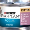 Purina Pro Plan Focus Kitten Classic Salmon & Ocean Fish Entree Canned Cat Food