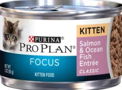 Purina Pro Plan Focus Kitten Classic Salmon & Ocean Fish Entree Canned Cat Food