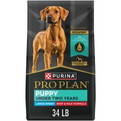 Purina Pro Plan Probiotic Beef and Rice Large-Breed Puppy Dry Dog Food - 34 Lbs