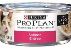 Purina Pro Plan Salmon Entree in Sauce Canned Cat Food