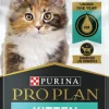 Purina Pro Plan Shredded Blend Chicken and Rice Kitten Formula Dry Cat Food - 16 Lbs