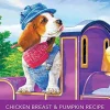 Rawz Dog Aujou Chicken Breast & Pumpkin Pouch Wet Dog Food - 2.46 oz - Case of 8