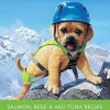 Rawz Dog Aujou Salmon, Beef & Aku Tuna Pouch Wet Dog Food - 2.46 oz - Case of 8