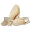 Red Barn Cow Ears Natural Dog Chews - 100 Count