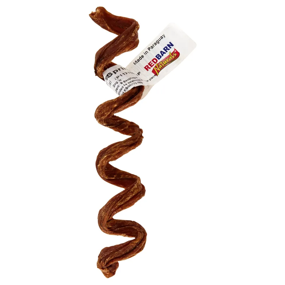 Red Barn Fetcher Spring Natural Dog Chews - 20 Count