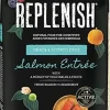 Replenish Grain-Free with Active 8 Dry Dog Food - Salmon - 4 Lbs