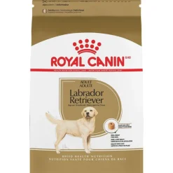 Royal Canin Breed Health Nutrition Labrador Retriever Adult Dry Dog Food
