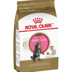 Royal Canin Feline Breed Nutrition Maine Coon Kitten Dry Cat Food