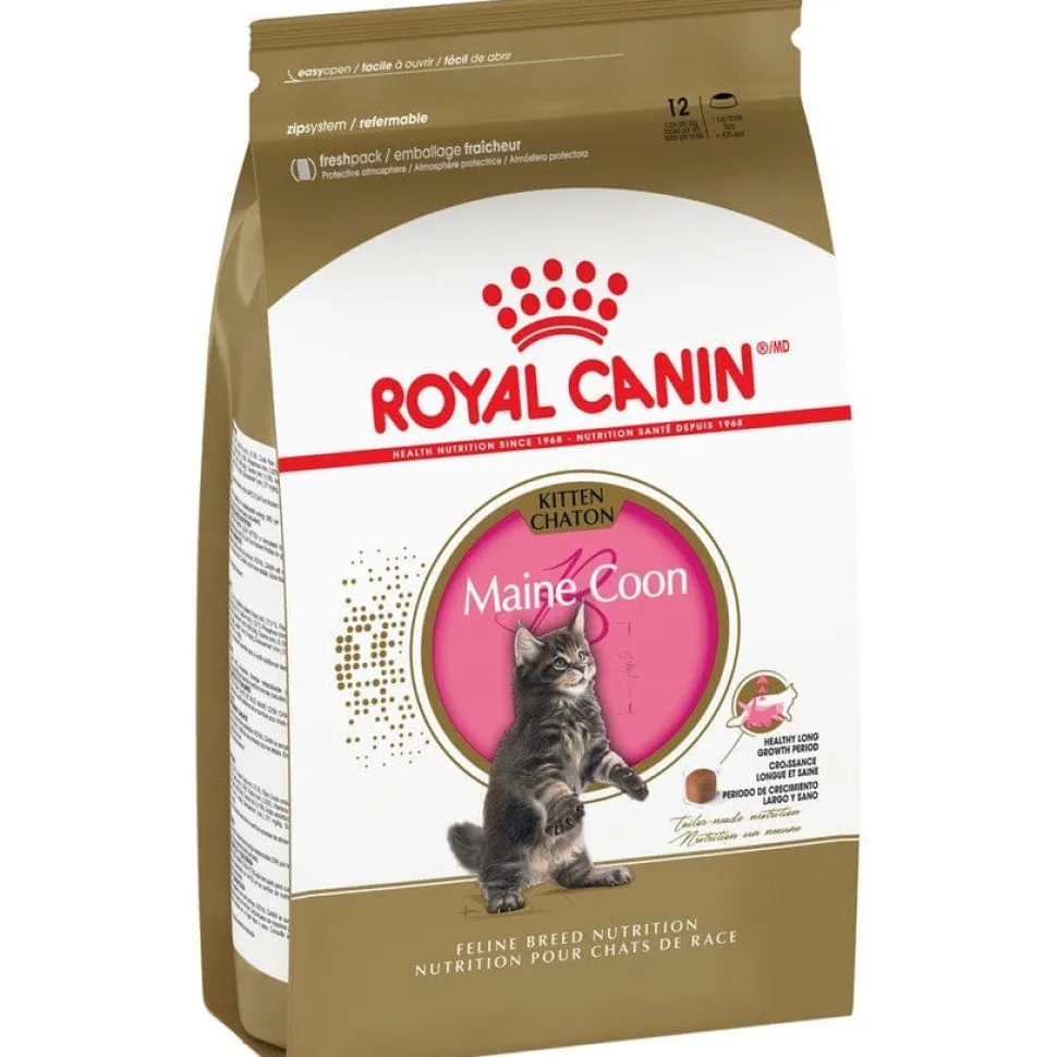 Royal Canin Feline Breed Nutrition Maine Coon Kitten Dry Cat Food