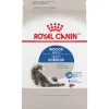 Royal Canin Feline Health Nutrition Indoor Adult Dry Cat Food - 3 Lbs
