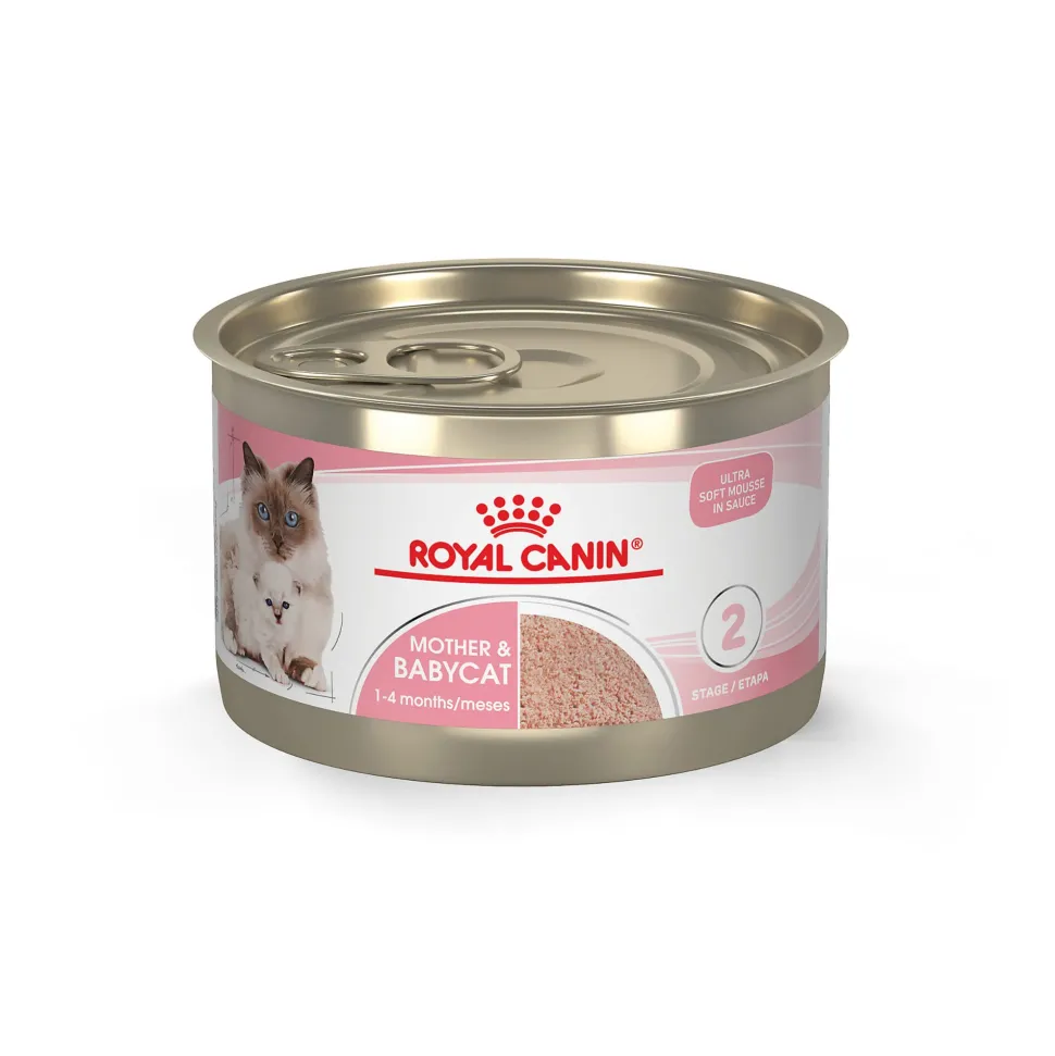 Royal Canin Feline Health Nutrition Mother and Kitten Mousse in Sauce Formula Canned Cat Food - 5.1 Oz - Case of 24