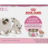Royal Canin Feline Health Nutrition Mother and Baby Kitten Mousse in Sauce Formula Canned Cat Food - 3 Oz - Case of 12 - 4 Pack