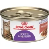 Royal Canin Feline Health Nutrition Spayed or Neutered Thin Slices in Gravy Canned Cat Food