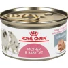 Royal Canin Feline Health Nutrition Mother & Babycat Ultra Soft Mousse in Sauce Canned Cat Food