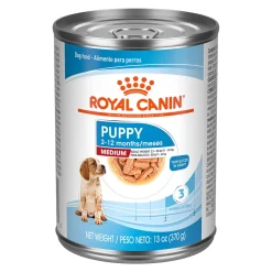 Royal Canin Size Health Nutrition Thin Slices in Gravy Medium-Breed Puppy Wet Dog Food - 13 Oz - Case of 12