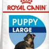 Royal Canin Size Health Nutrition Large Breed Puppy Dry Dog Food