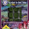 San Francisco Bay Brand Frozen Coral Cuisine - 30 Cubes - 3.5 oz