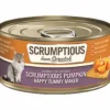 Scrumptious Dog and Cat Pumpkin Puree Canned Cat Food - 2.8 Oz - Case of 12