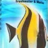 Seachem Entice - 250 ml