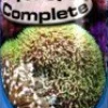 Seachem Reef Complete - 250 ml