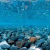 Seaview Double Sided Background River Rock & Sea of Green - 12 in X 50 ft