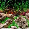 Seaview Double Sided Background Aquawild & Slateways - 18 in X 50 ft