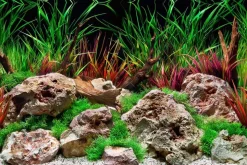 Seaview Double Sided Background Aquawild & Slateways - 18 in X 50 ft