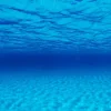 Seaview Double Sided Background Seascape & Natural Mystic - 18 in X 50 ft