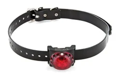 Sportdog Locator Beacon Dog Training Aid - Red