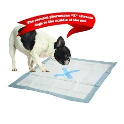 SPOT X Marks The Spot Anti-Skid Puppy Dog Training Pads - L:22 X W:22" Inches - 100 Count