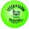 Spunky Pup Fetch and Glow Stick Durable Fetch and Float Dog Toy