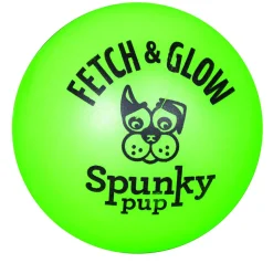 Spunky Pup Fetch and Glow-in-the-Dark Ball Float and Fetch Dog Toy - Large