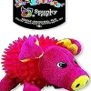 Spunky Pup Glow In the Dark Pig Squeak and Plush Dog Toy - Small