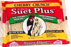 Suet Cakes Plus Cherry Crunch Suet Cakes Wild Bird Food - Cherry - 11 Oz