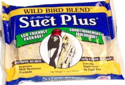 Suet Cakes Plus Wild Bird Blend Suet Cakes Wild Bird Food - Wildbird - 11 Oz