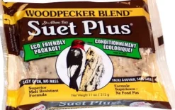 Suet Cakes Plus Woodpecker Blend Suet Cakes Wild Bird Food - Woodpecker - 11 Oz