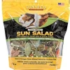 Sunseed Sun Salad Guinea Pig Foraging Treat - 10 oz - Pack of 6