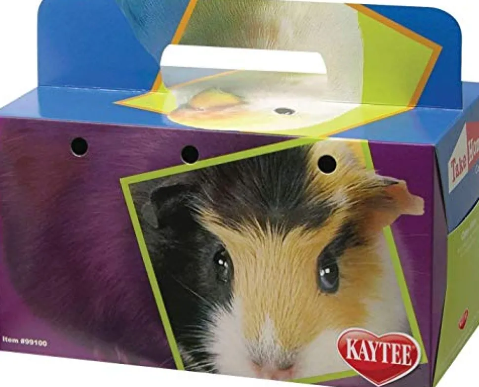 Super Pet Take-Home Box for Small Animals - Large - Pack of 100