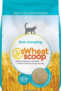 Swheat Scoop Fast Clumping Wheat Regular Cat Litter - 12 lb Bag