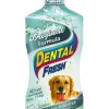 Synergy Labs Water Additive for Dogs - 32 fl Oz